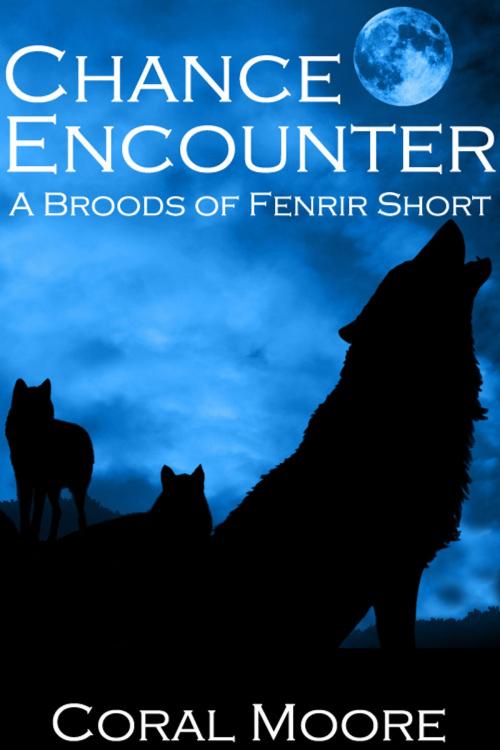 Cover of the book Chance Encounter by Coral Moore, Coral Moore
