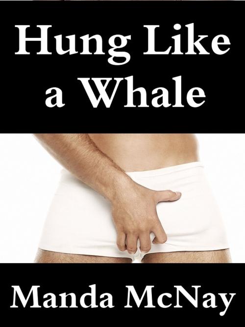Cover of the book Hung Like a Whale by Manda McNay, Manda McNay