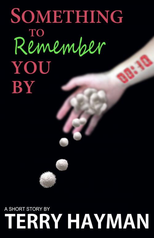 Cover of the book Something to Remember You By by Terry Hayman, Fiero Publishing