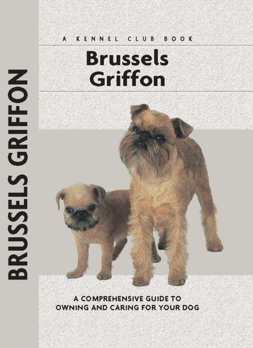 Cover of the book Brussels Griffon by Juliette Cunliffe, CompanionHouse Books