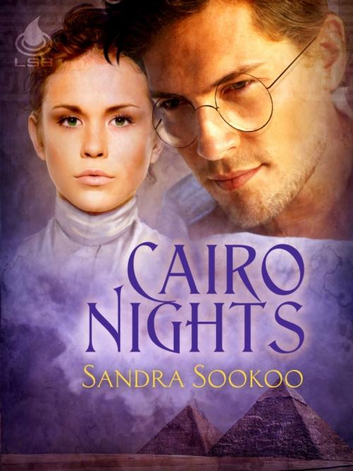 Cover of the book Cairo Nights by Sandra Sookoo, Liquid Silver Books