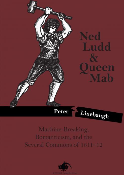 Cover of the book Ned Ludd & Queen Mab by Peter Linebaugh, PM Press