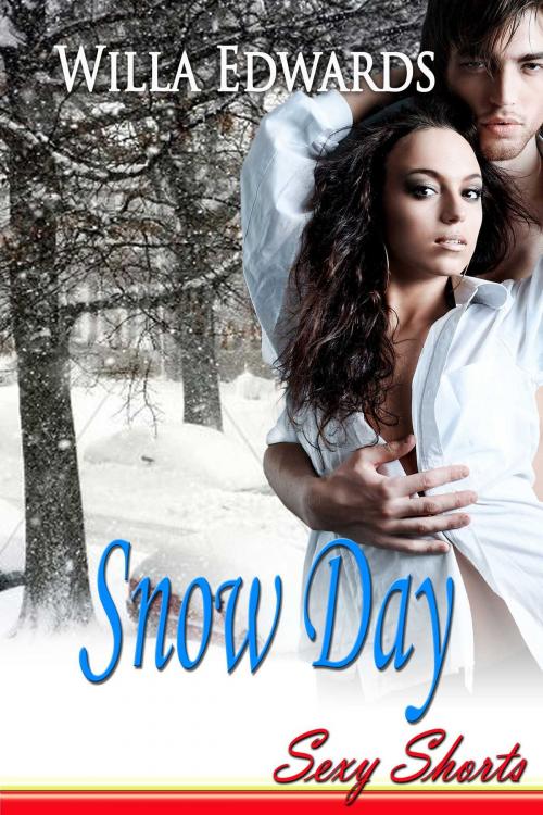 Cover of the book Snow Day - Sexy Shorts by Willa Edwards, Torrid Books