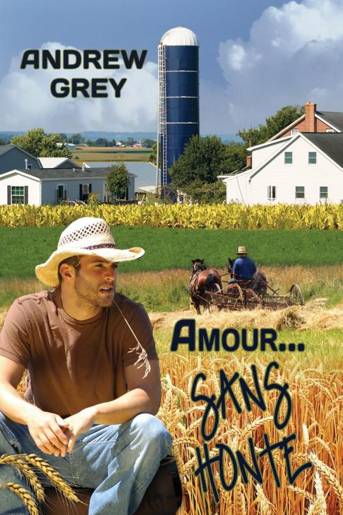 Cover of the book Amour… sans honte by Andrew Grey, Dreamspinner Press