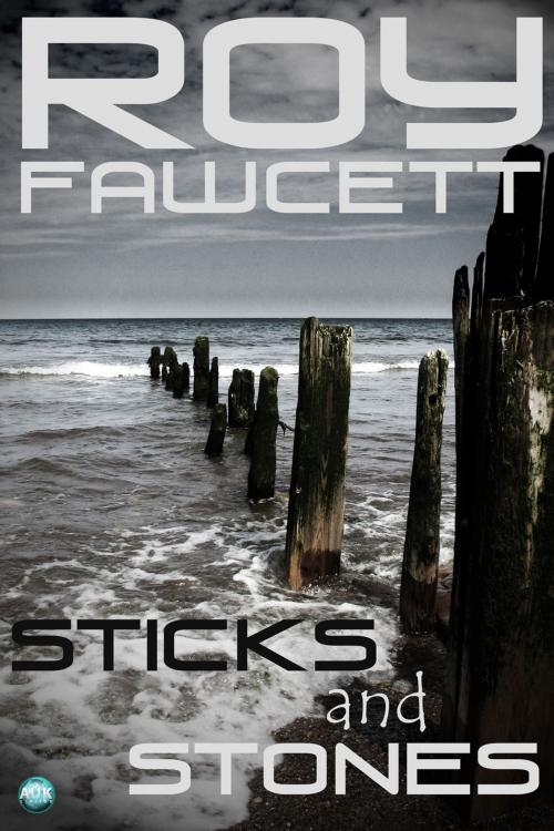 Cover of the book Sticks and Stones by R. G.  Fawcett, Andrews UK