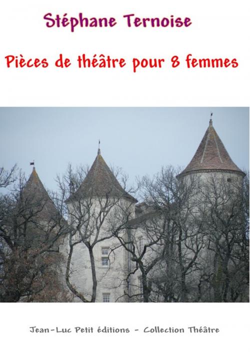 Cover of the book Pièces de théâtre pour 8 femmes by Stéphane Ternoise, Jean-Luc PETIT Editions