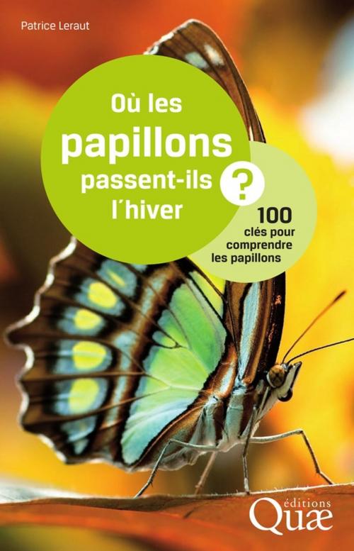 Cover of the book Où les papillons passent-ils l'hiver ? by Patrice Leraut, Quae