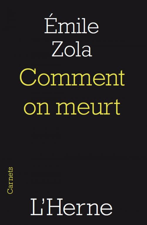 Cover of the book Comment on meurt by Emile Zola, Editions de  L'Herne