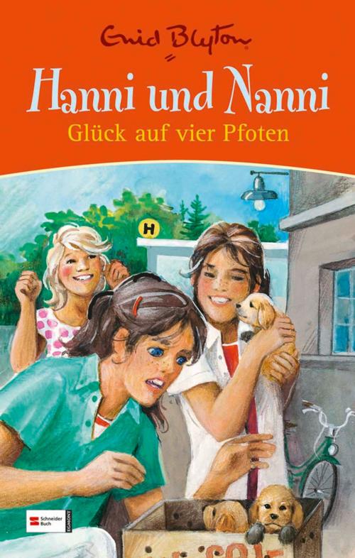 Cover of the book Hanni und Nanni Glück auf vier Pfoten by Nikolaus Moras, Enid Blyton, Egmont Schneiderbuch.digital