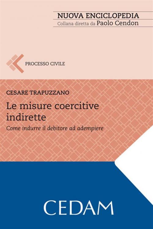 Cover of the book Le misure coercitive indirette by TRAPUZZANO CESARE, Cedam