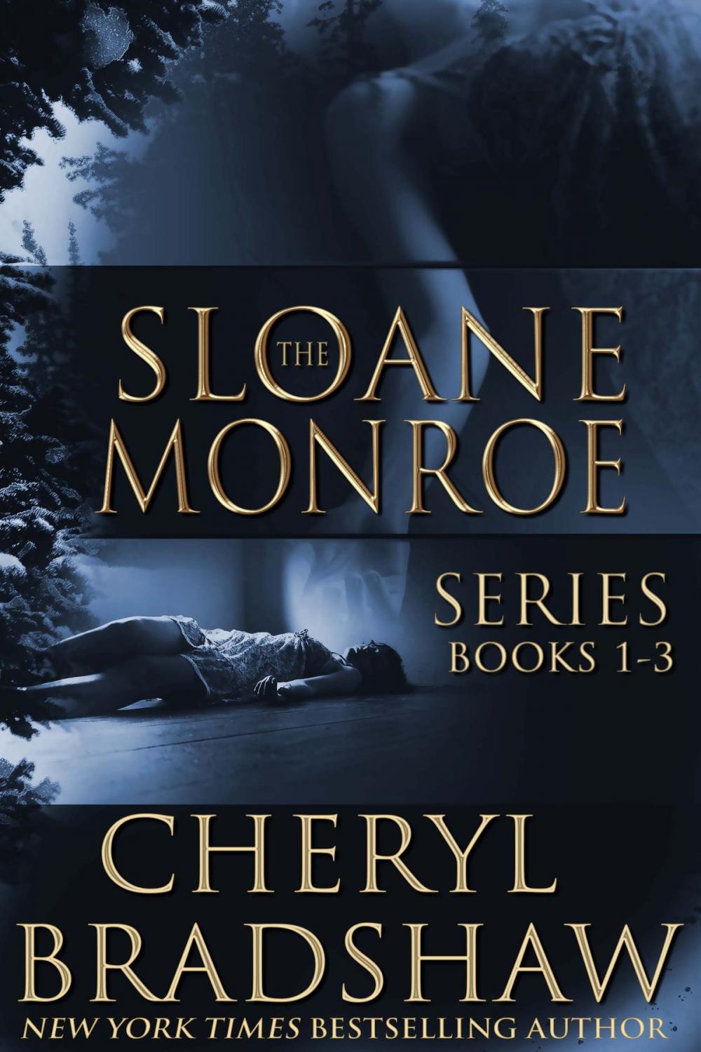 Big bigCover of Sloane Monroe Series Boxed Set, Books 1-3