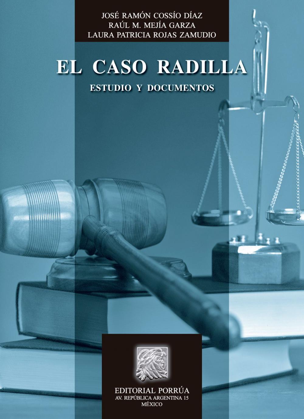 Big bigCover of El caso Radilla: Estudio y documentos