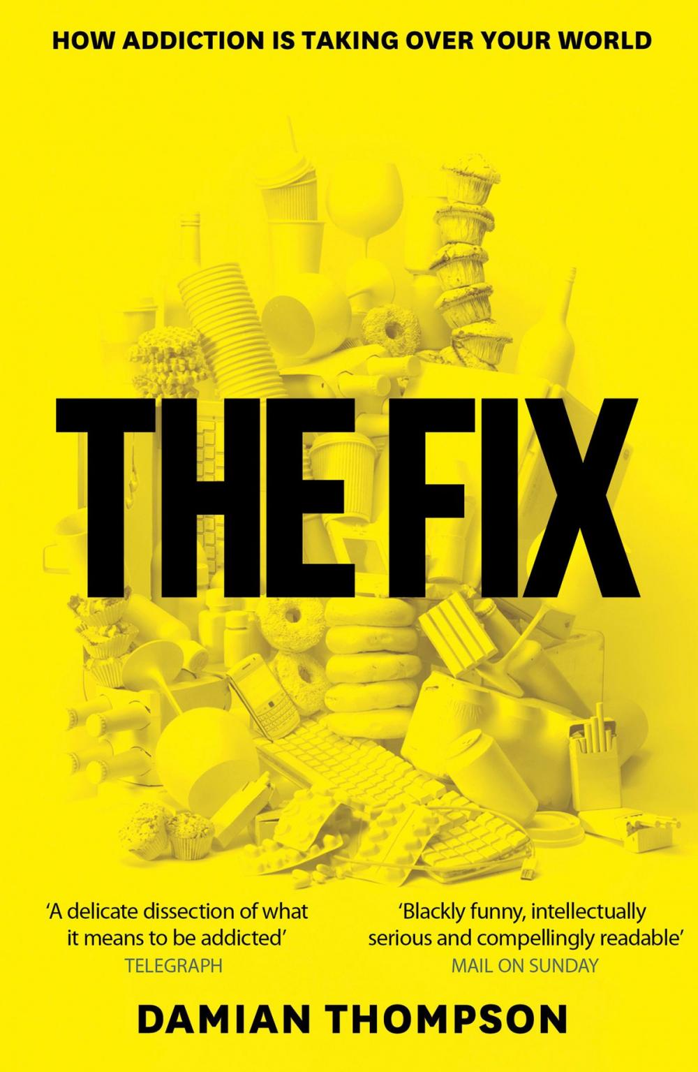 Big bigCover of The Fix