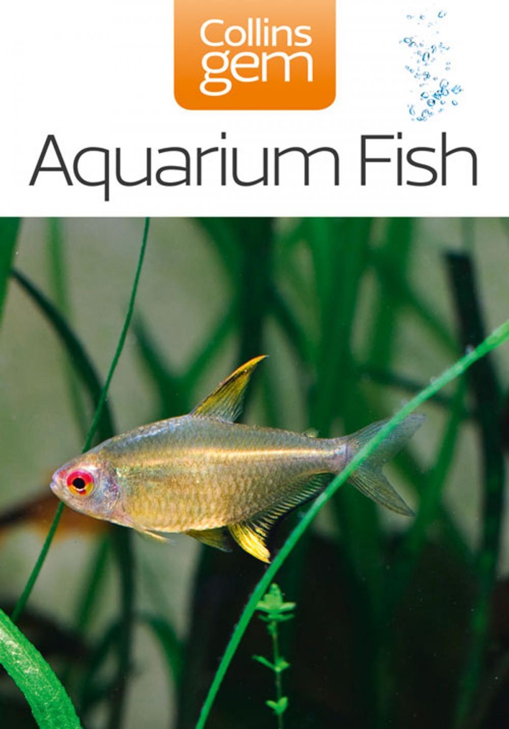 Big bigCover of Aquarium Fish (Collins Gem)