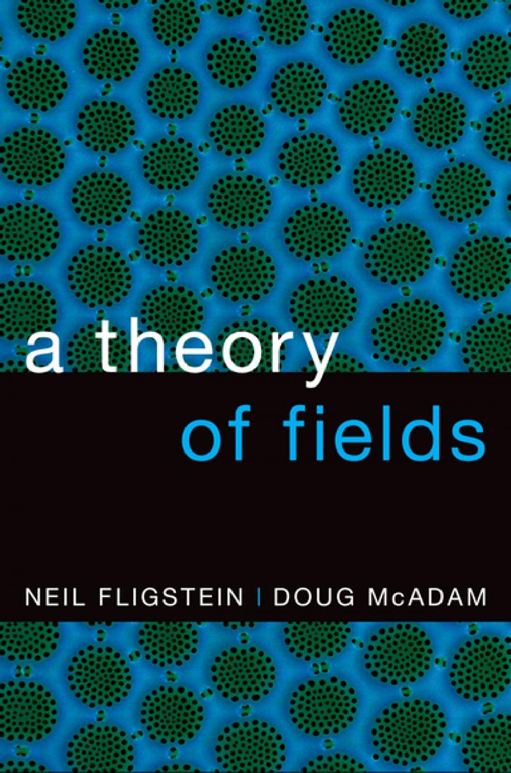 Big bigCover of A Theory of Fields