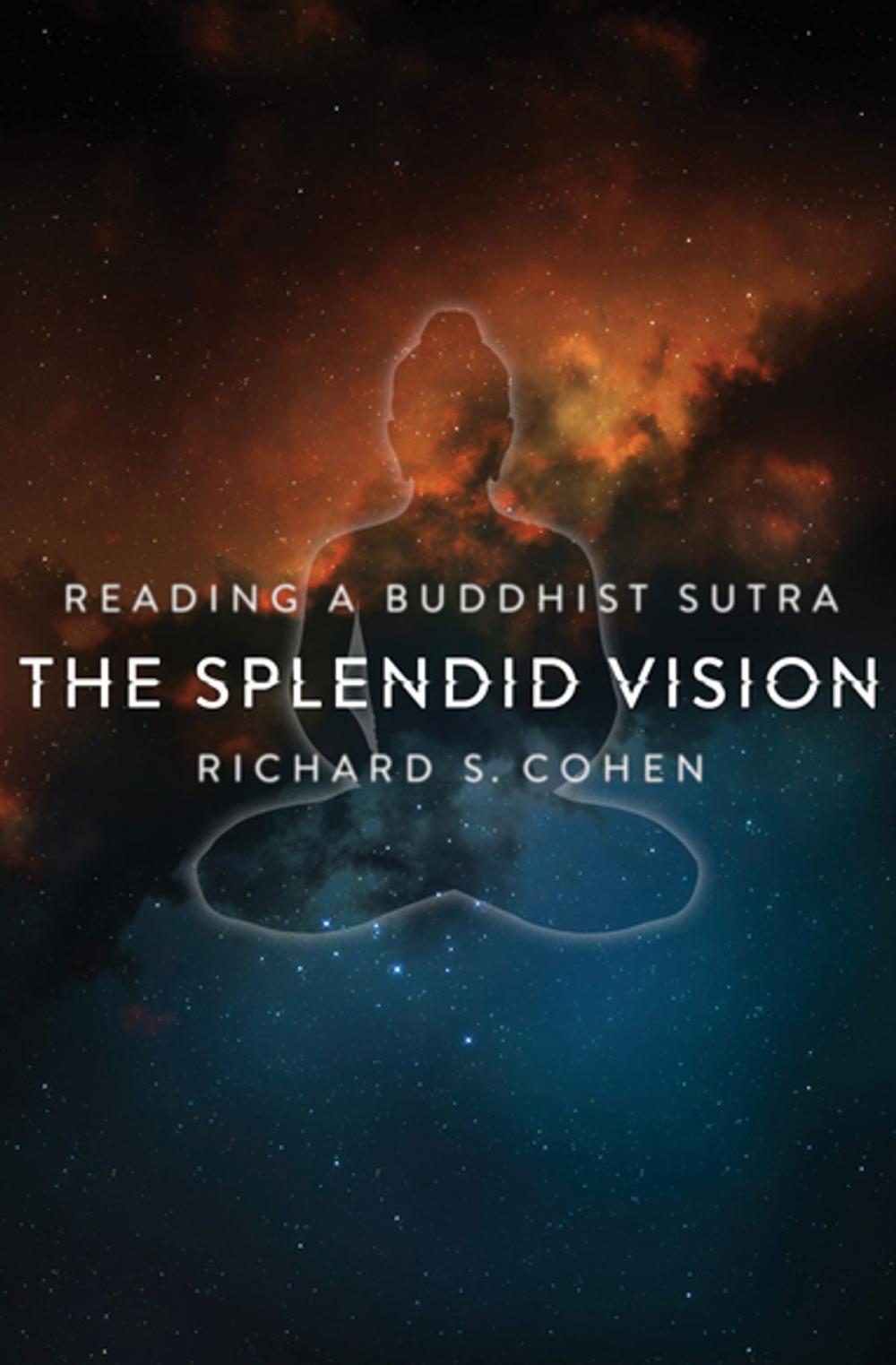 Big bigCover of The Splendid Vision