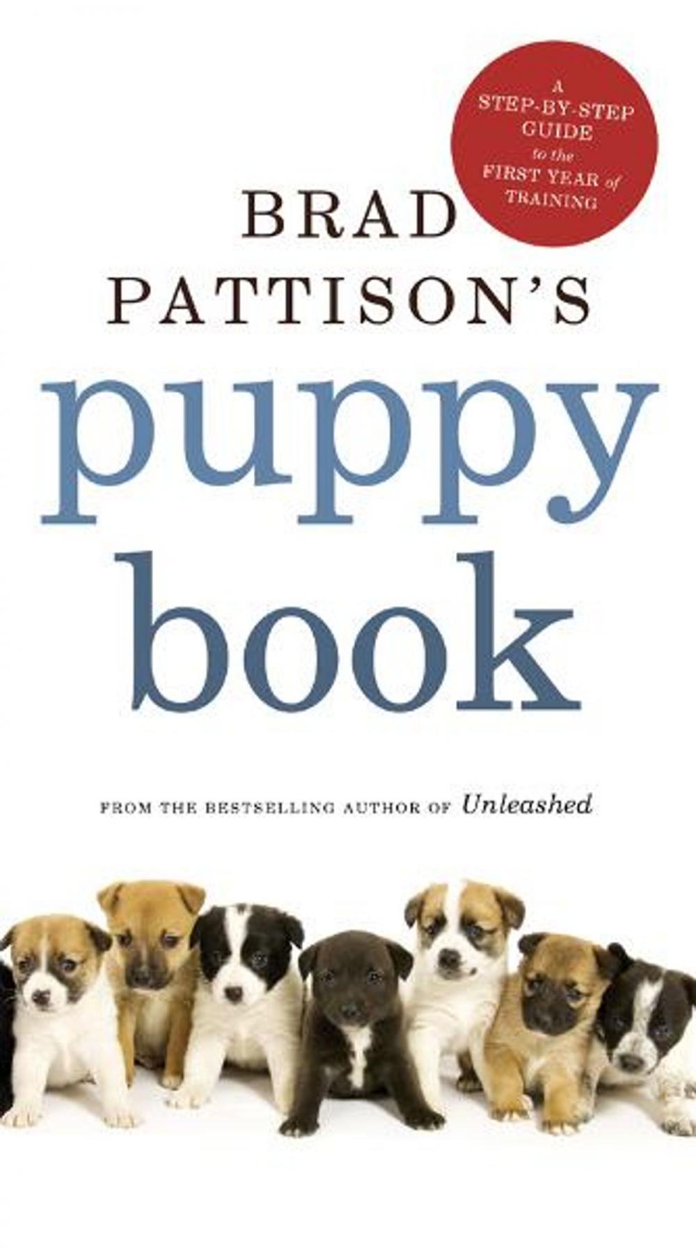 Big bigCover of Brad Pattison's Puppy Book