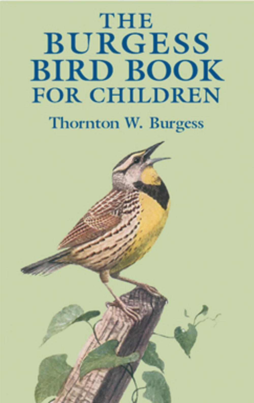 Big bigCover of The Burgess Bird Book for Children