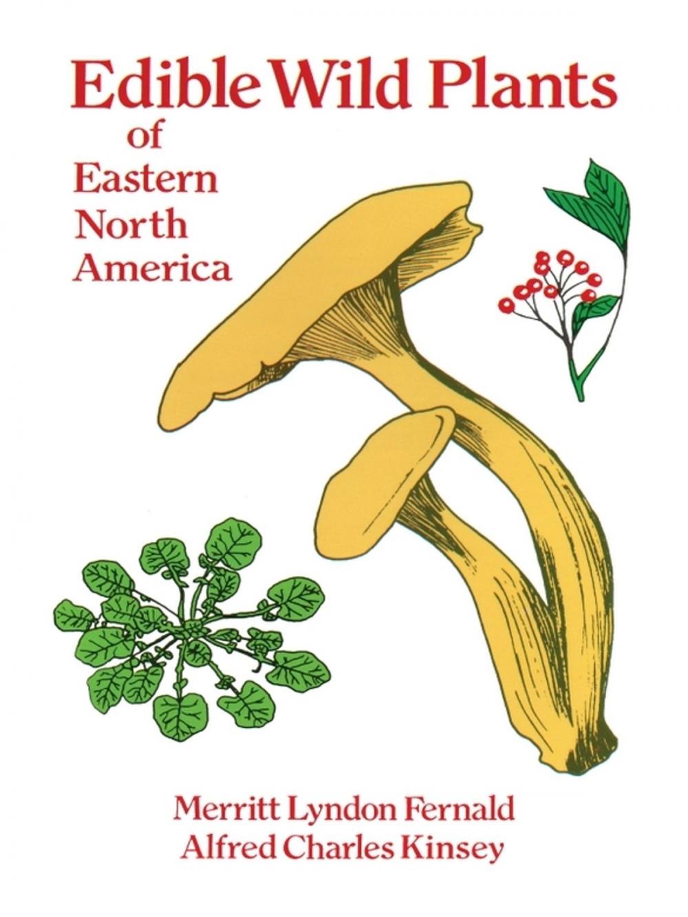 Big bigCover of Edible Wild Plants of Eastern North America