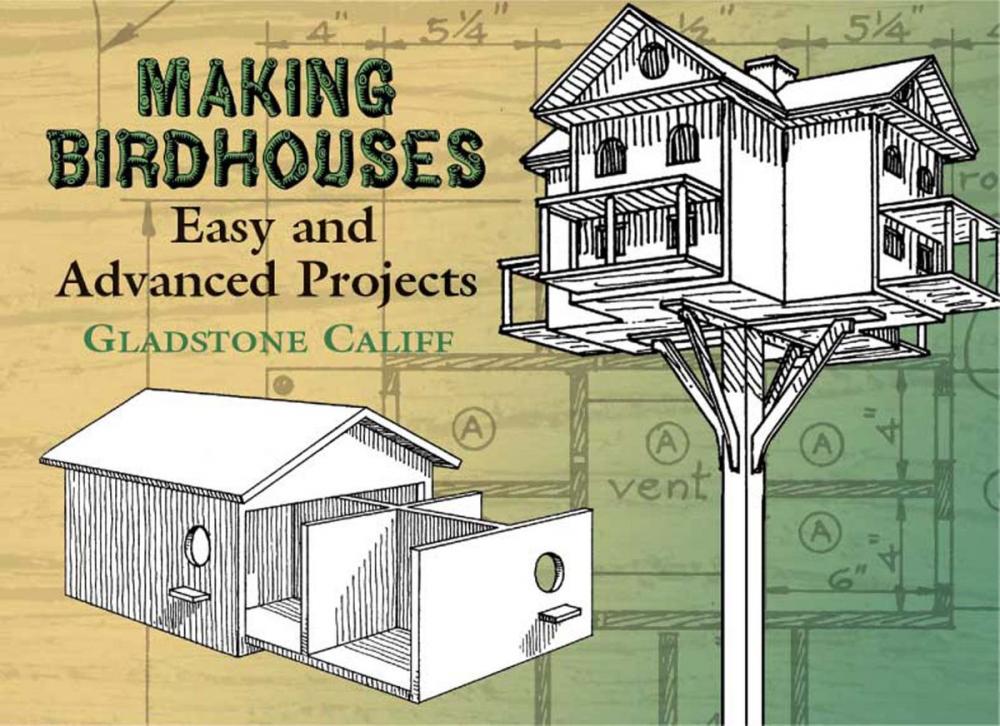 Big bigCover of Making Birdhouses