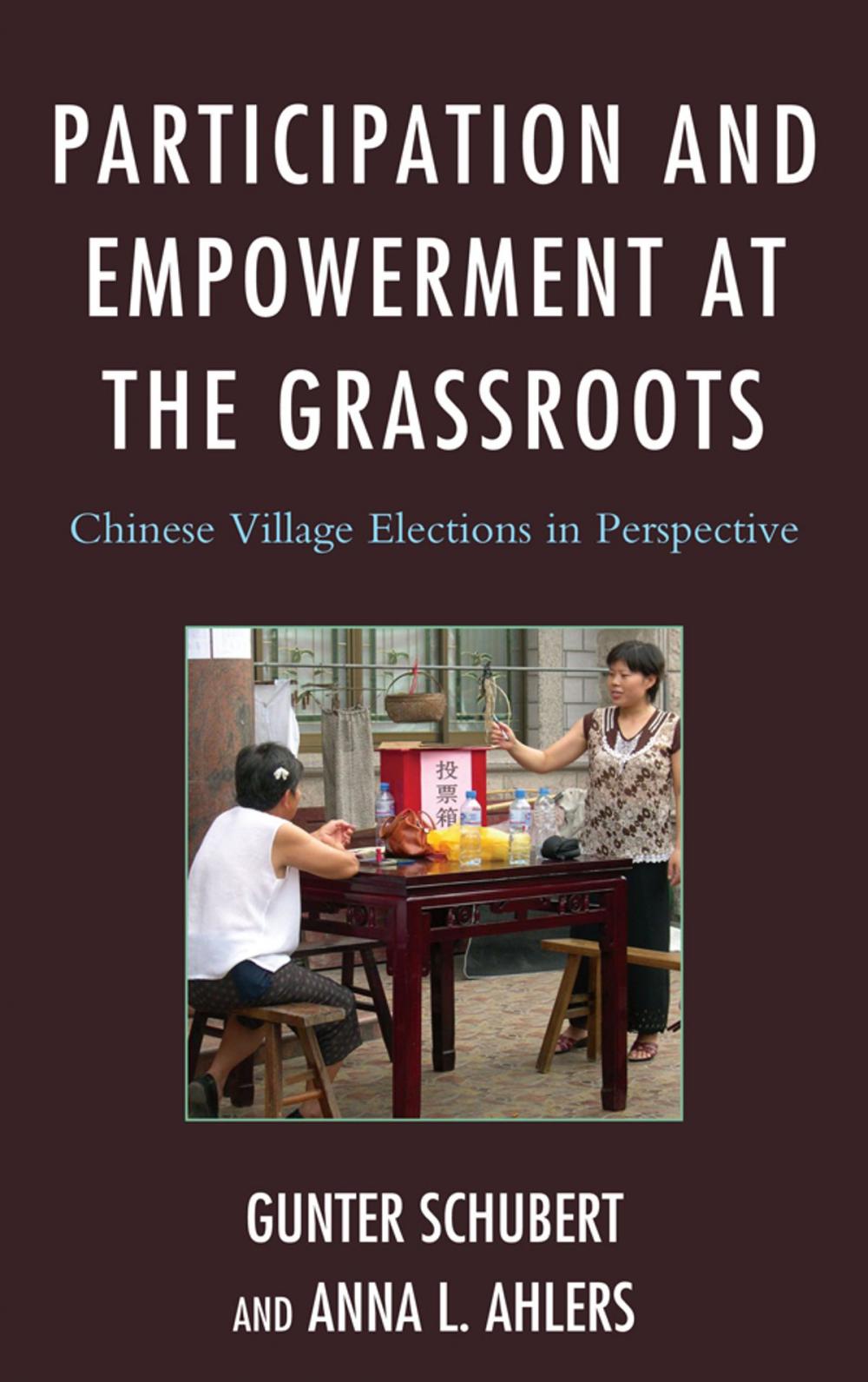 Big bigCover of Participation and Empowerment at the Grassroots