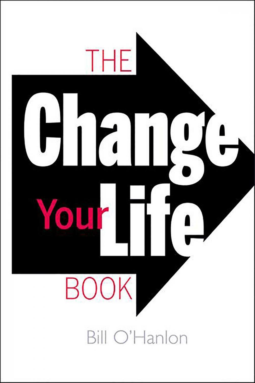 Big bigCover of The Change Your Life Book