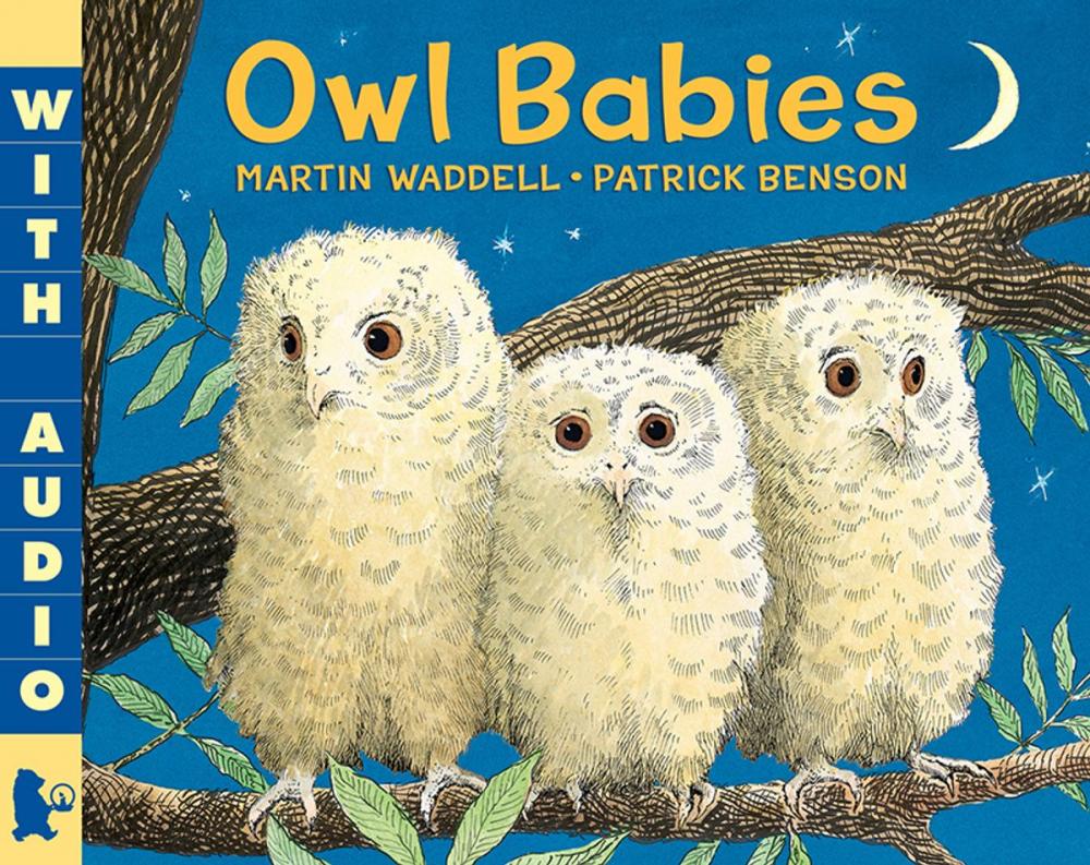 Big bigCover of Owl Babies