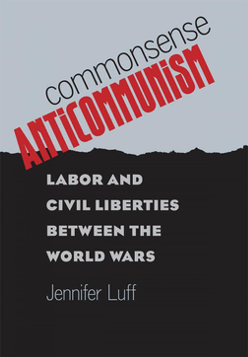 Big bigCover of Commonsense Anticommunism