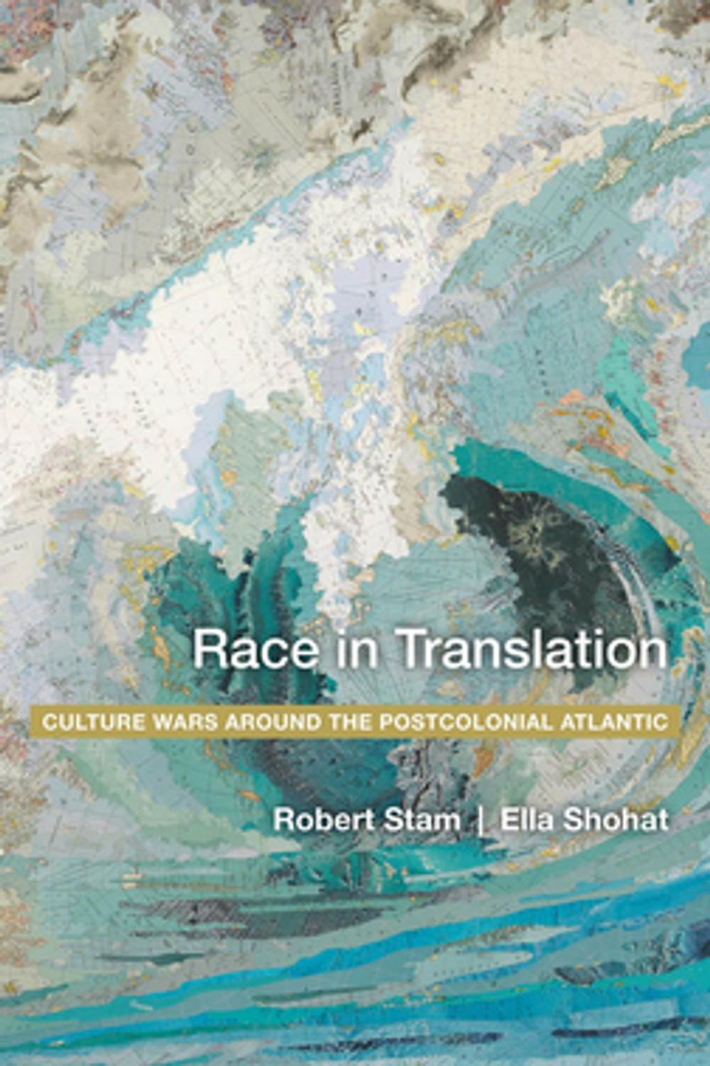 Big bigCover of Race in Translation