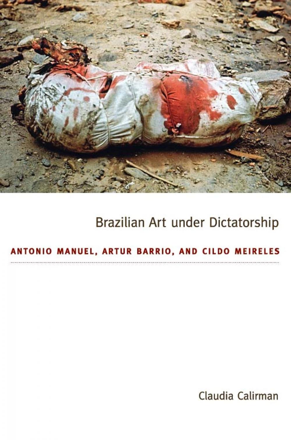 Big bigCover of Brazilian Art under Dictatorship