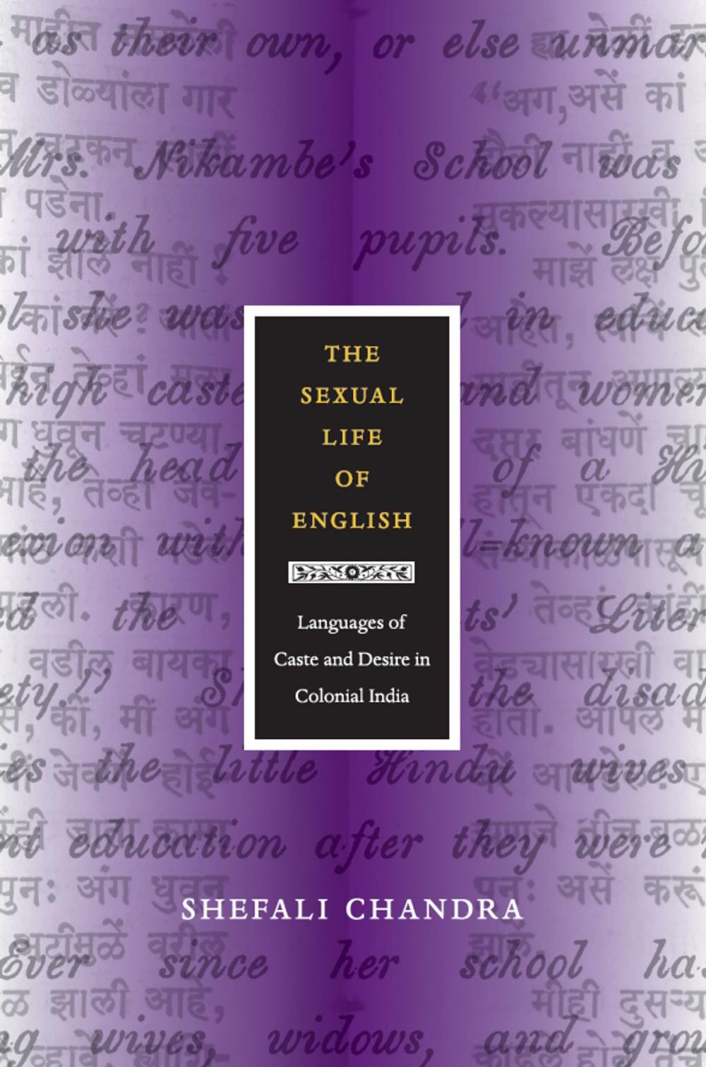 Big bigCover of The Sexual Life of English