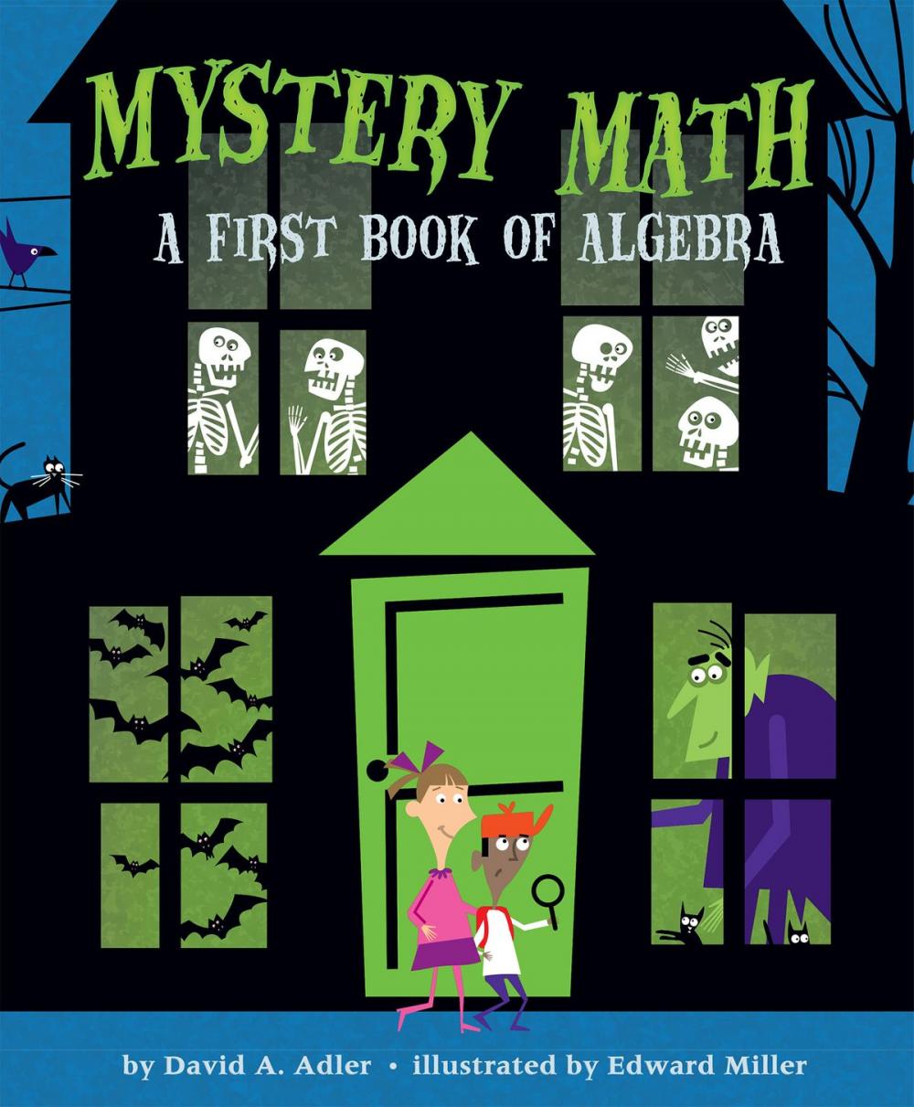 Big bigCover of Mystery Math