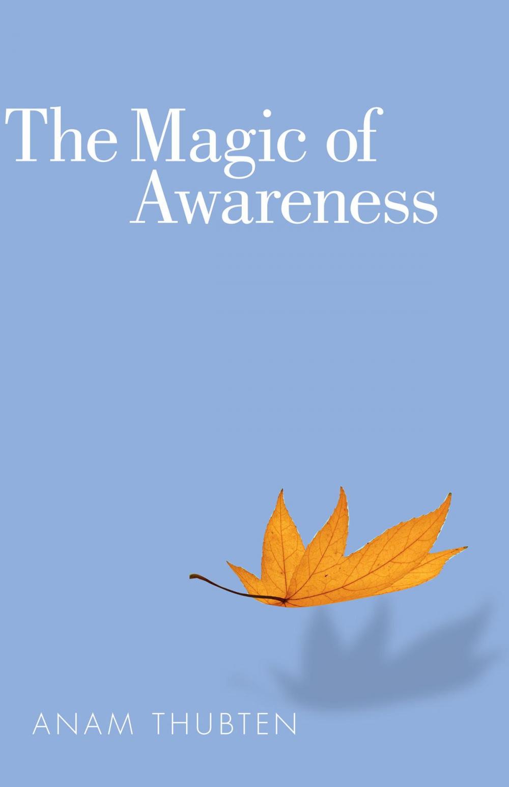 Big bigCover of The Magic of Awareness