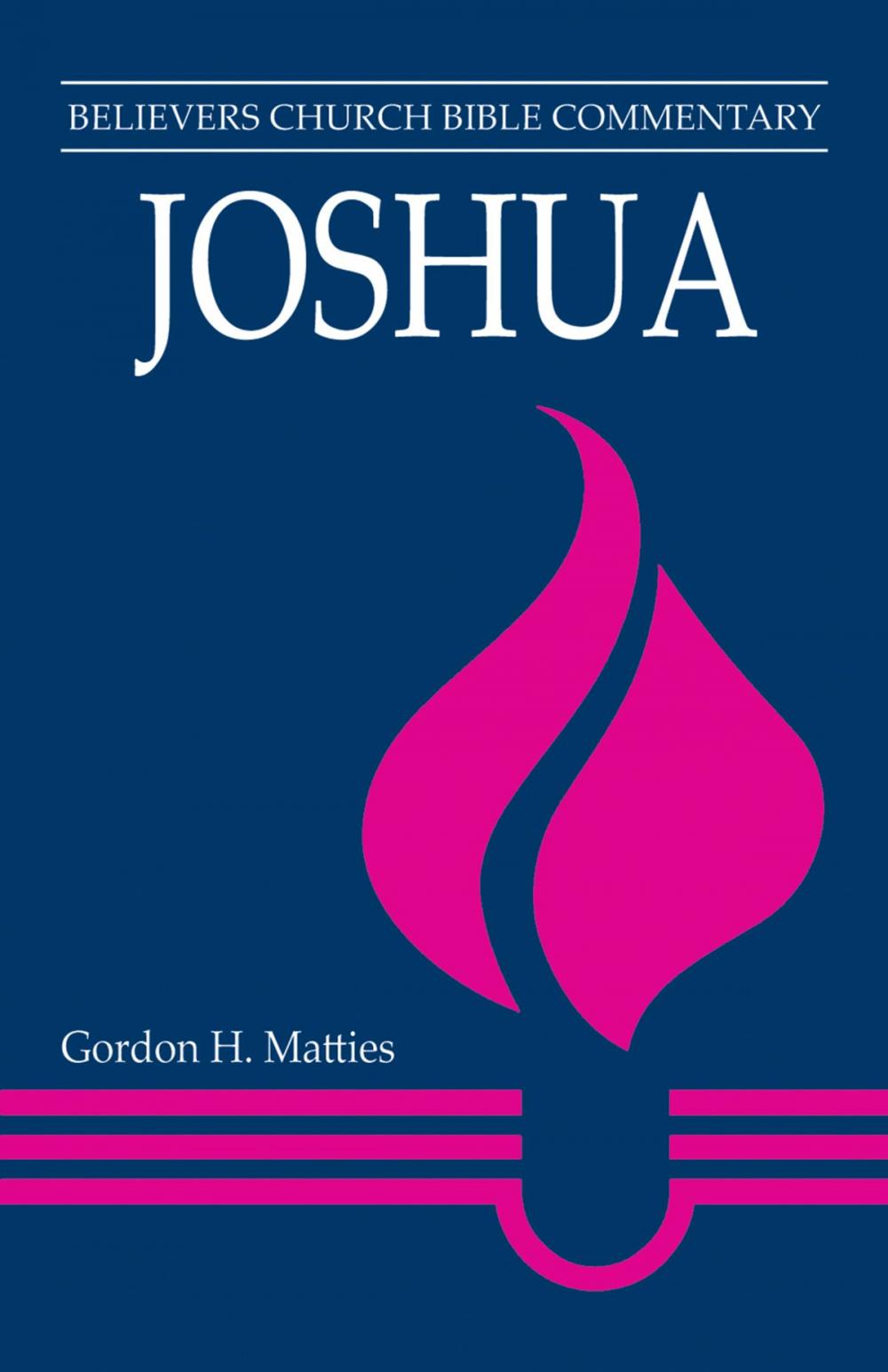 Big bigCover of Joshua