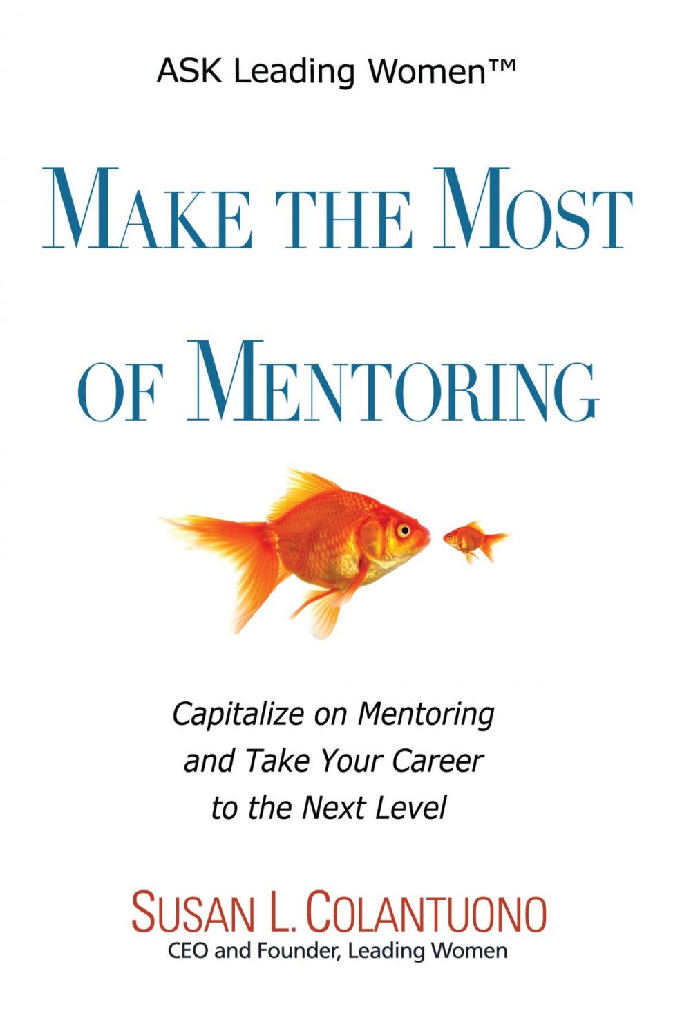 Big bigCover of Make the Most of Mentoring