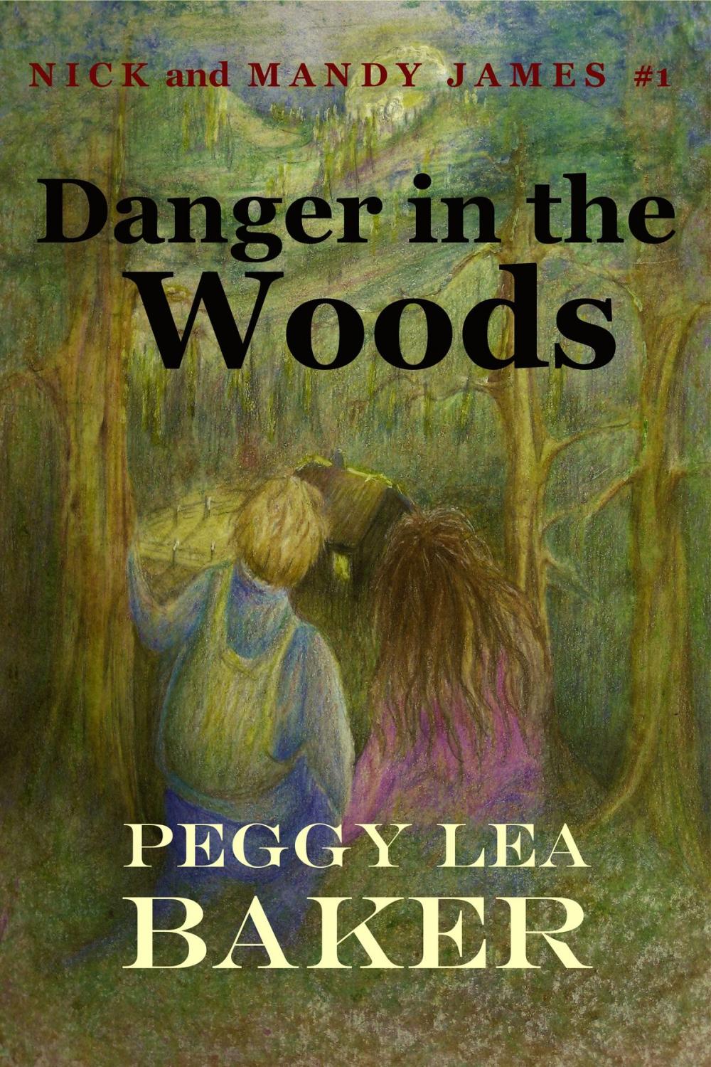 Big bigCover of Danger in the Woods: Nick and Mandy James Series