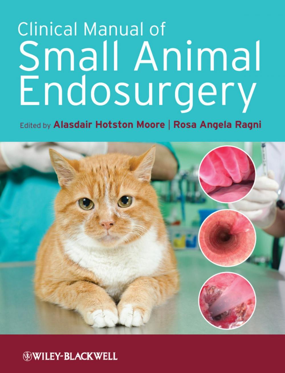 Big bigCover of Clinical Manual of Small Animal Endosurgery