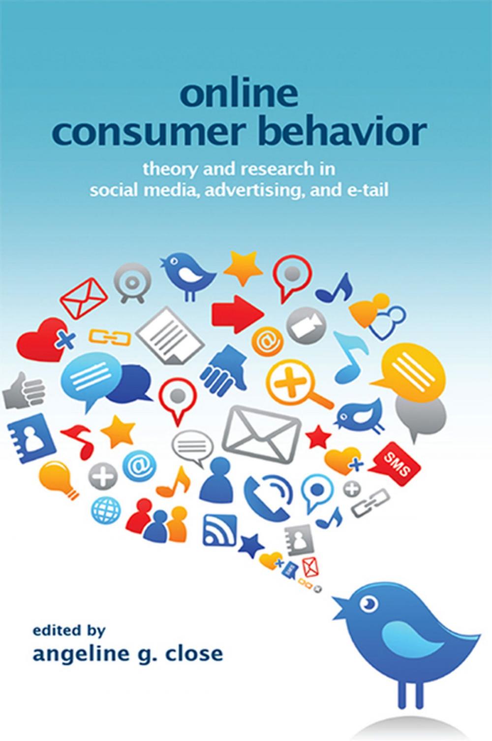 Big bigCover of Online Consumer Behavior