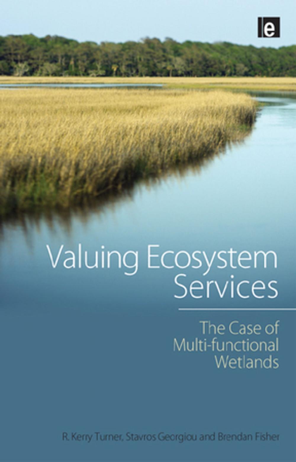 Big bigCover of Valuing Ecosystem Services