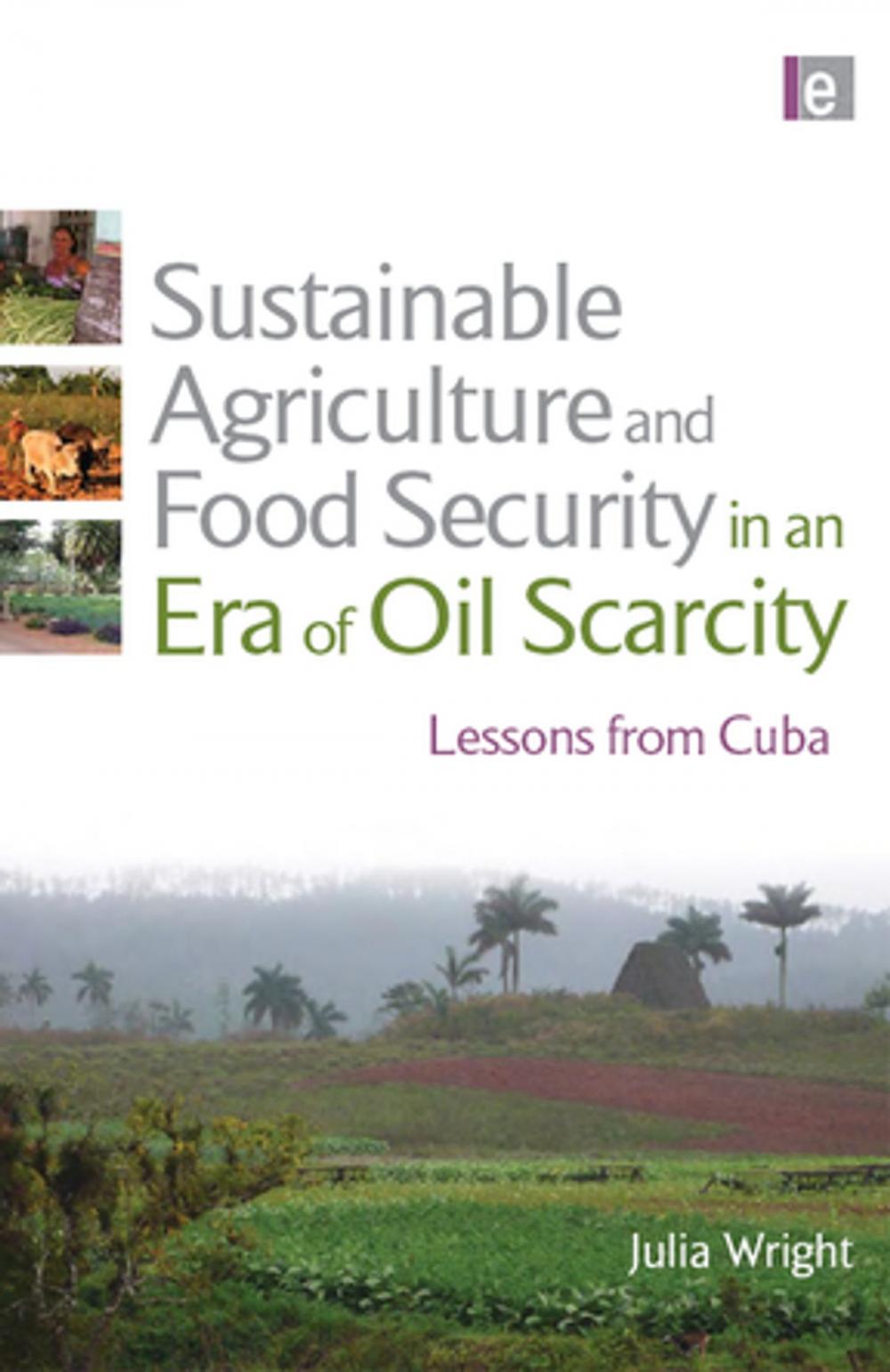 Big bigCover of Sustainable Agriculture and Food Security in an Era of Oil Scarcity