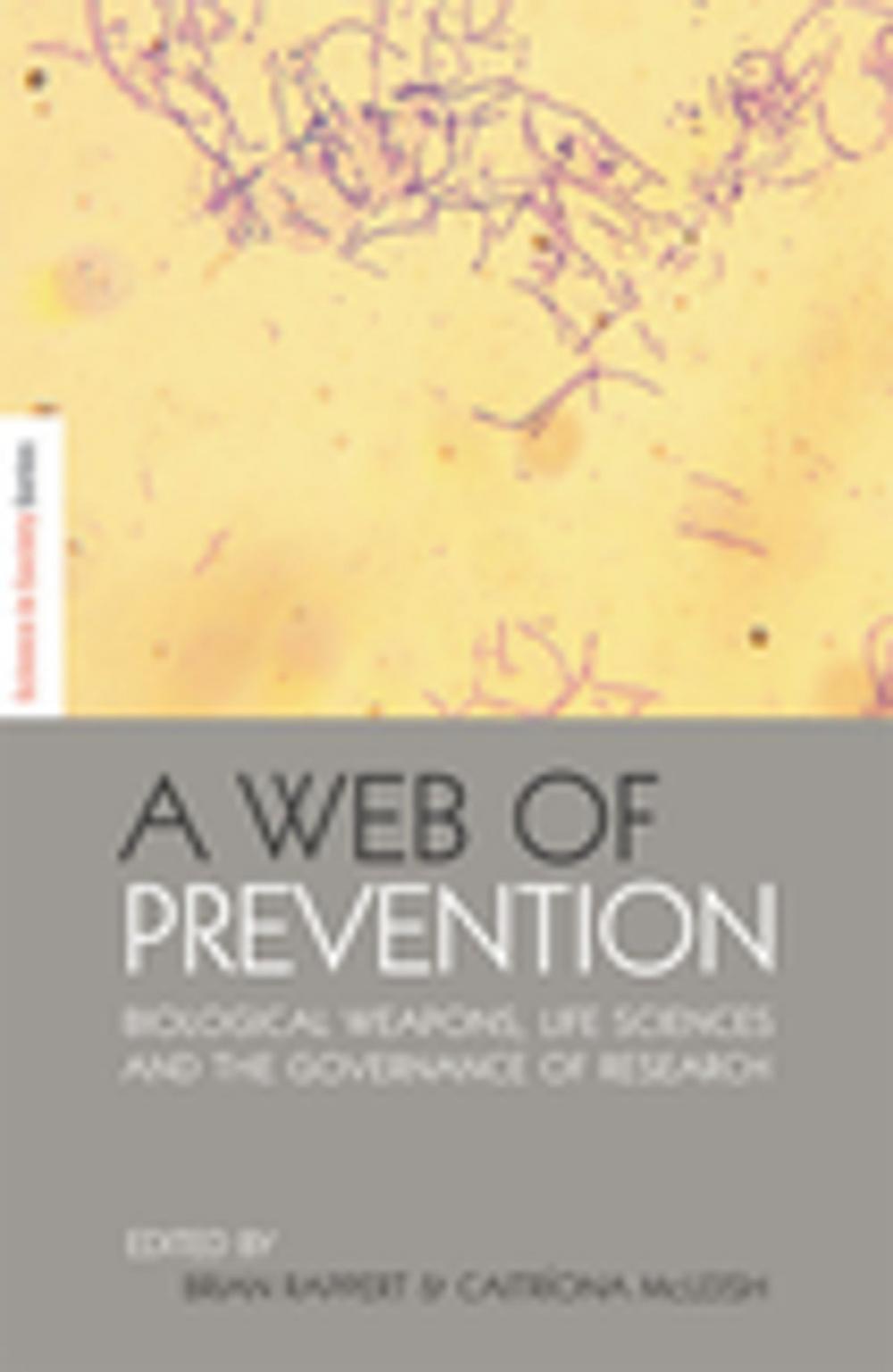 Big bigCover of A Web of Prevention