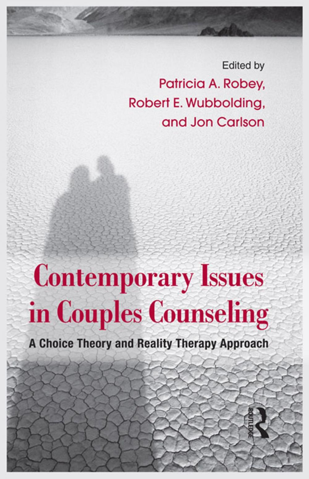 Big bigCover of Contemporary Issues in Couples Counseling