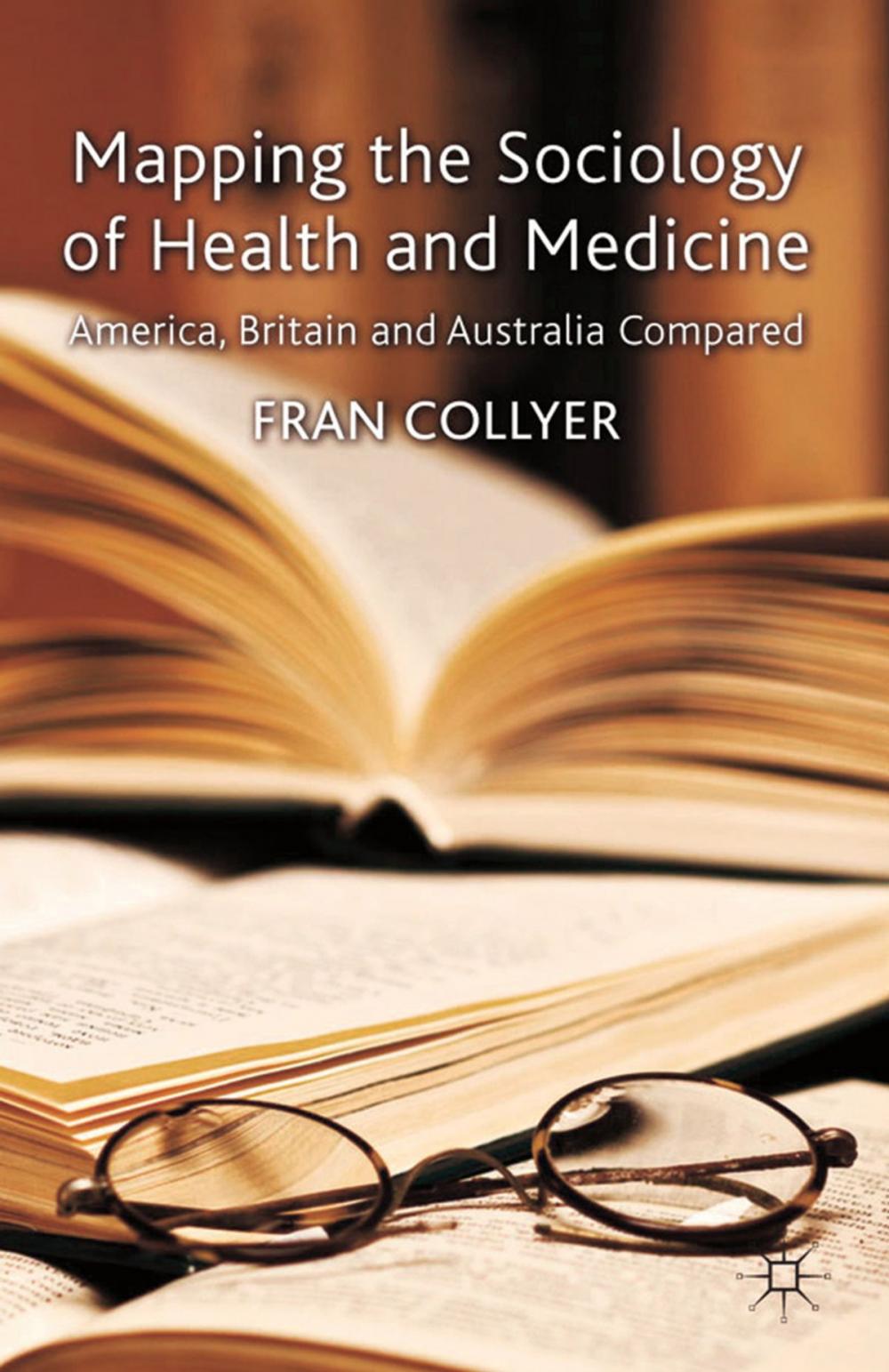 Big bigCover of Mapping the Sociology of Health and Medicine