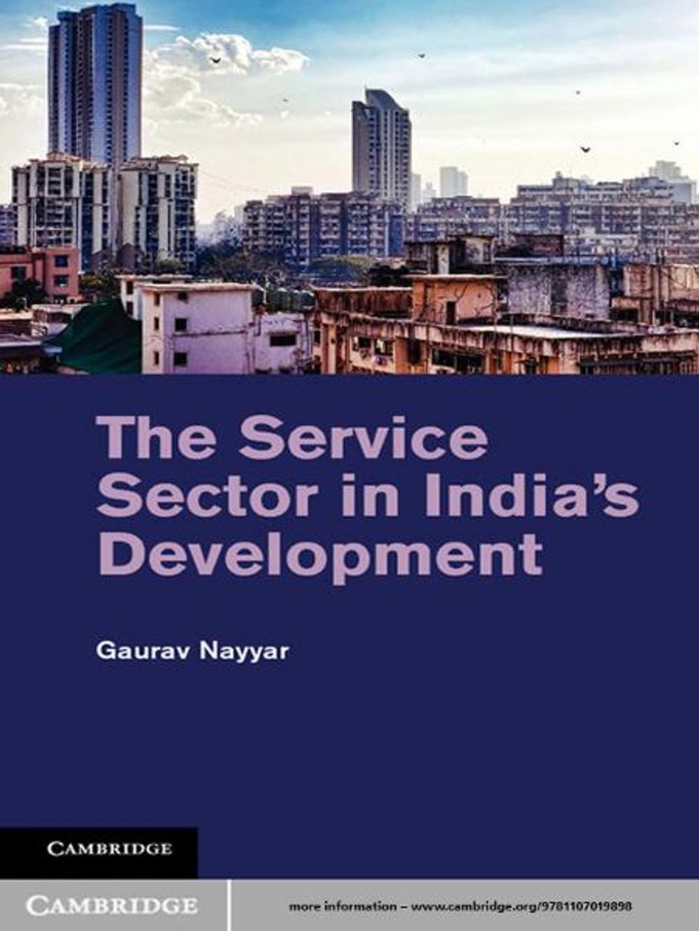 Big bigCover of The Service Sector in India's Development