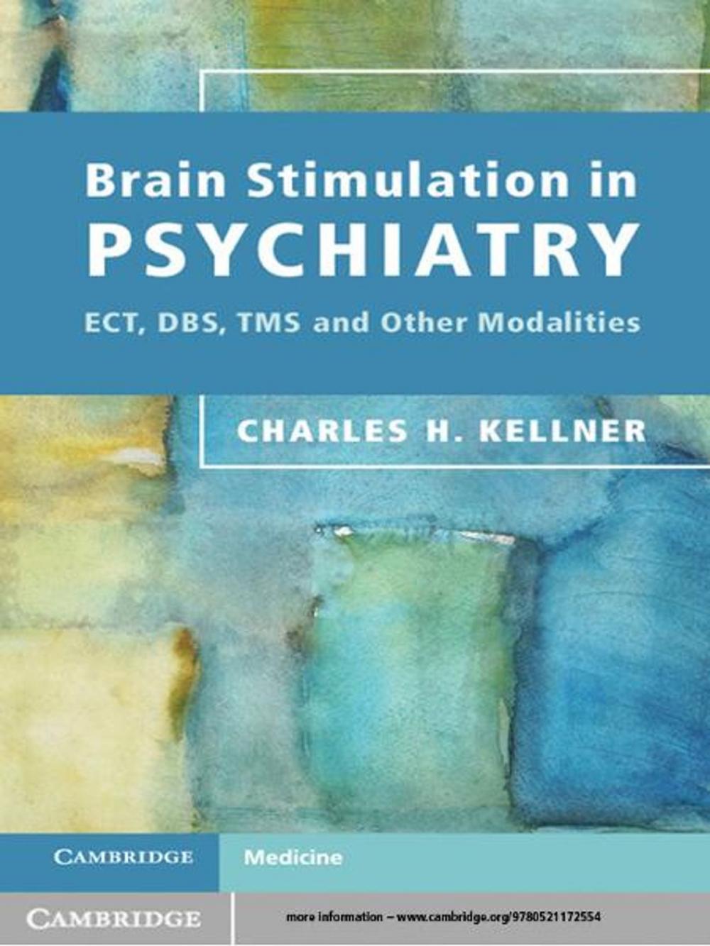 Big bigCover of Brain Stimulation in Psychiatry