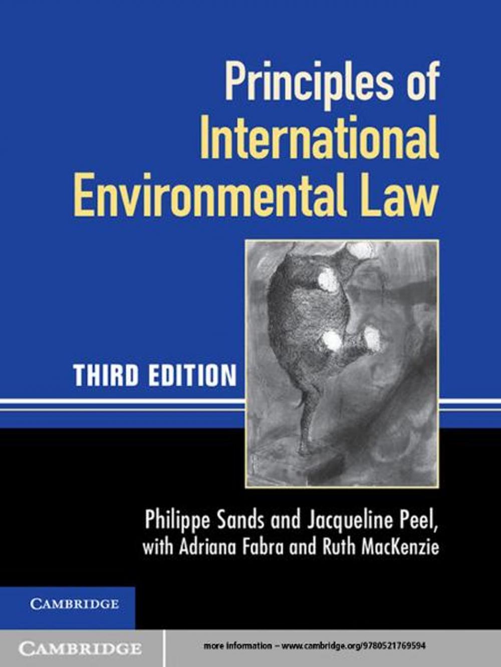 Big bigCover of Principles of International Environmental Law