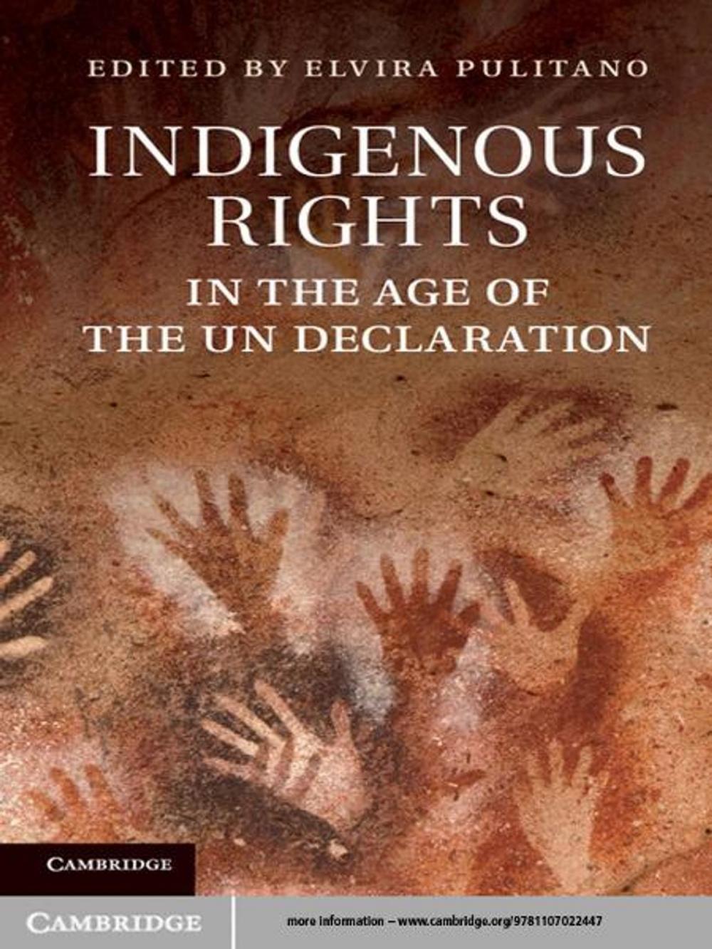 Big bigCover of Indigenous Rights in the Age of the UN Declaration