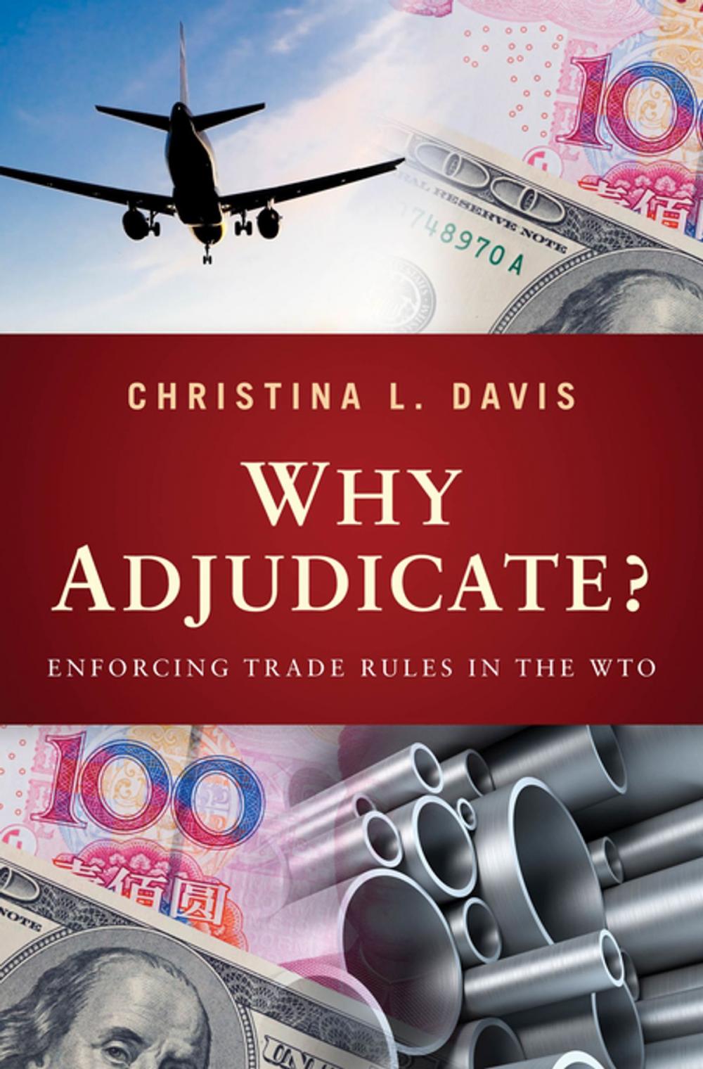 Big bigCover of Why Adjudicate?