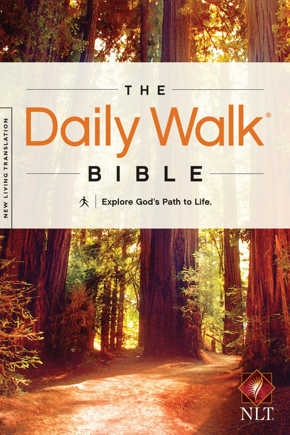 Big bigCover of The Daily Walk Bible NLT