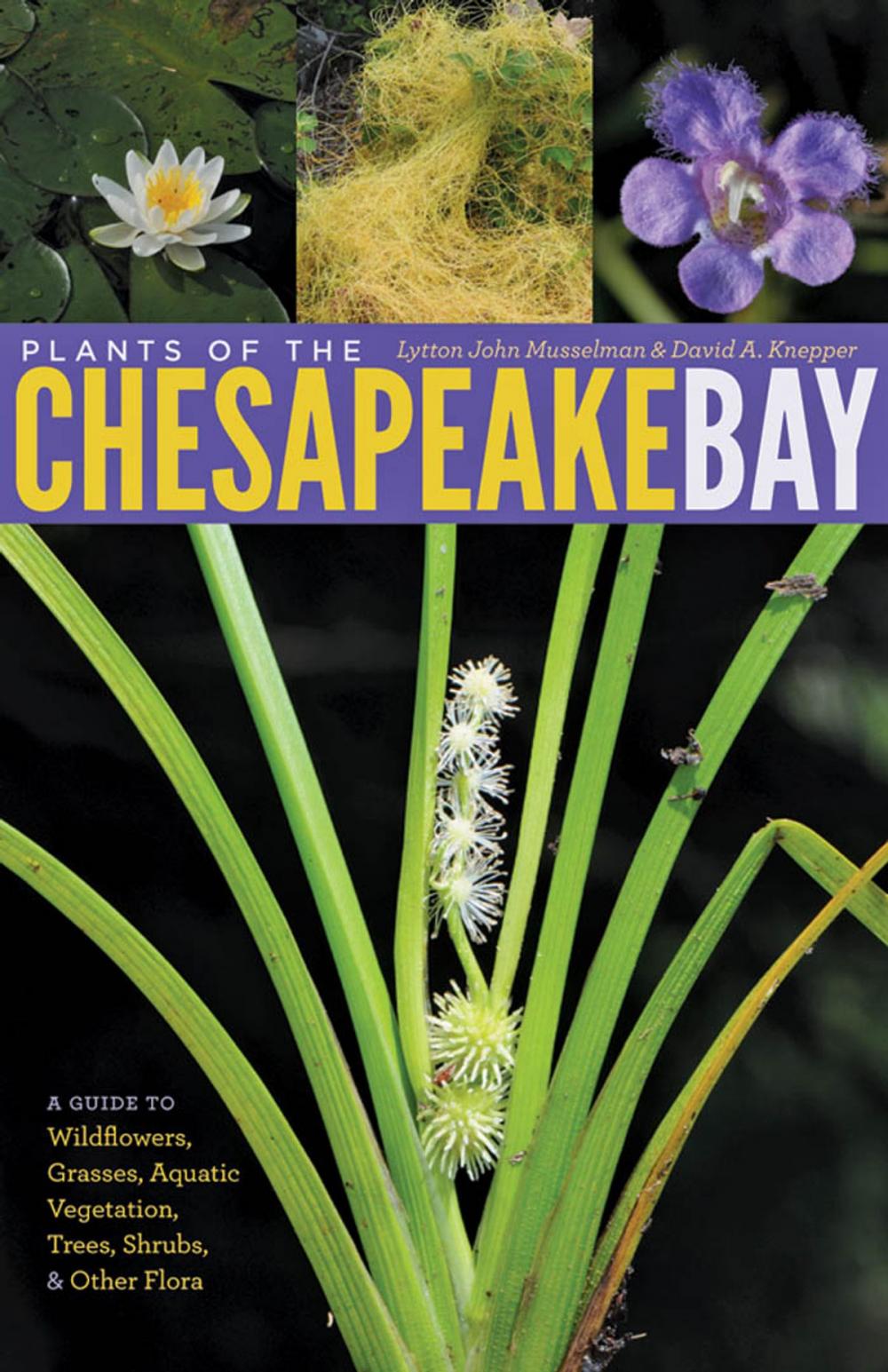 Big bigCover of Plants of the Chesapeake Bay